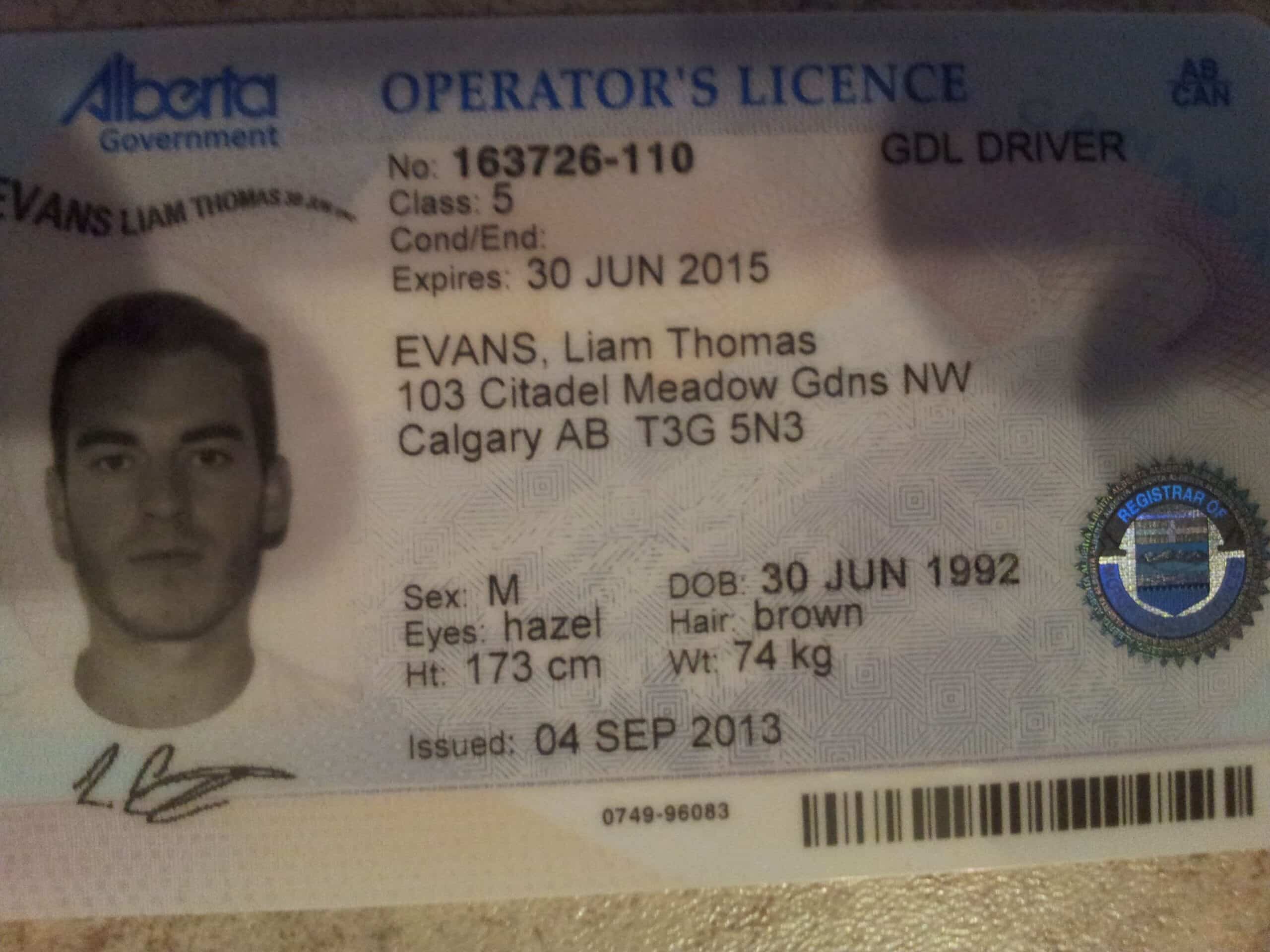 Canada Drivers License Alberta Driving License and ID Card