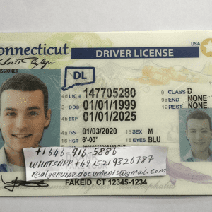 Buy Connecticut Driver License and ID Card