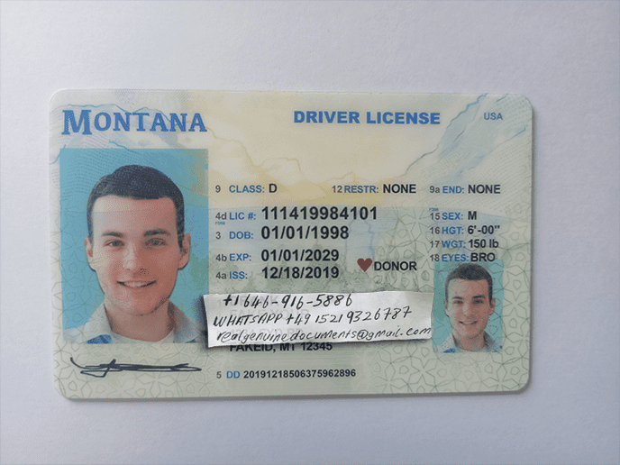 Buy Montana Driver License and ID Card Montana Driver License