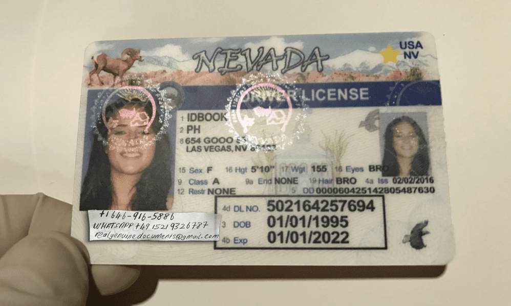 Buy Nevada Driver License and ID Card Buy Nevada Driver License and ID Card