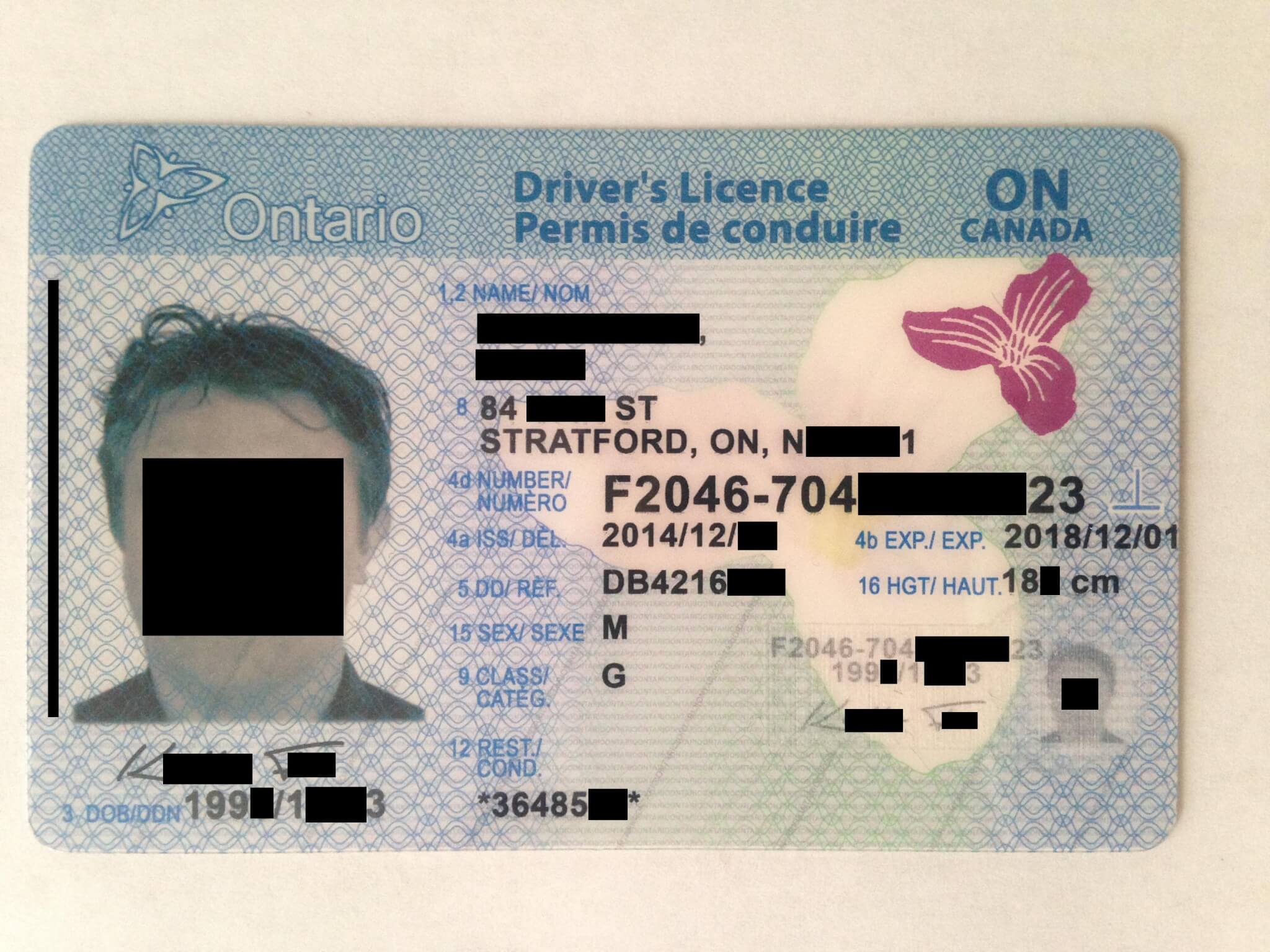 Buy Ontario Driver Licence Ontario Driver Licence