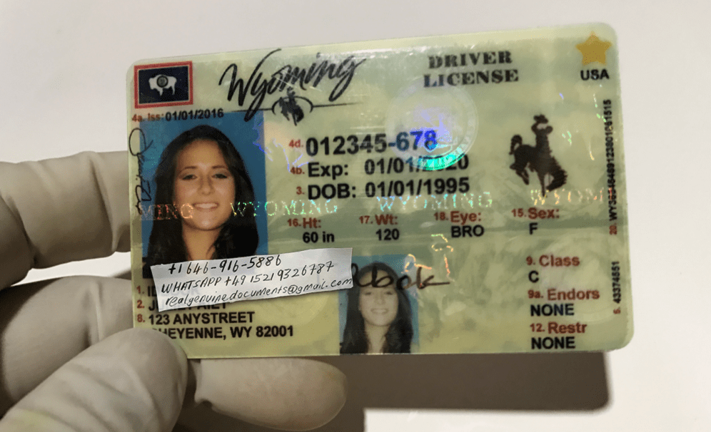 Buy Wyoming Driver License and ID Cards Wyoming Driver License and ID Card