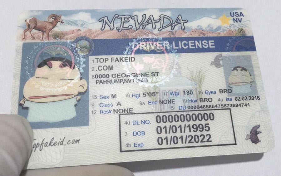 Buy Nevada Driver License and ID Card Buy Nevada Driver License and ID Card