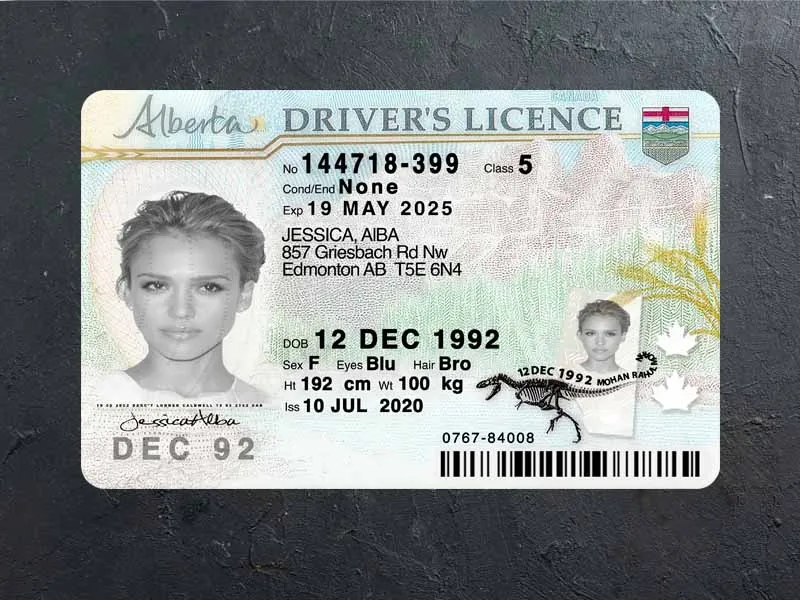 Buy Alberta Driver Licence Alberta Driver Licence