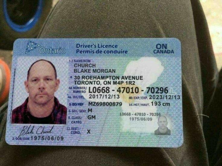 Buy Ontario Driver License and ID Cards Ontario Driver Licence